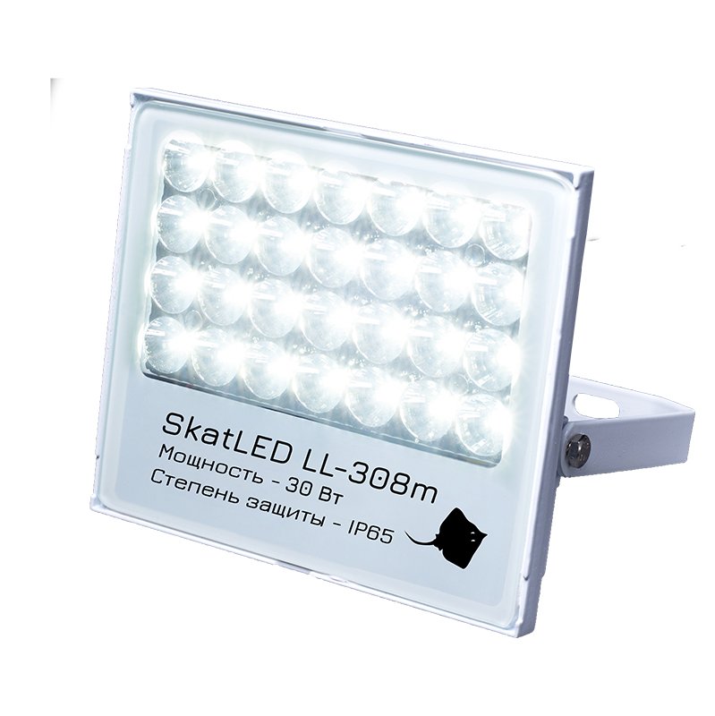 Все Бастион SkatLED LL-308m светильник светодиодный видеонаблюдения в магазине Vidos Group